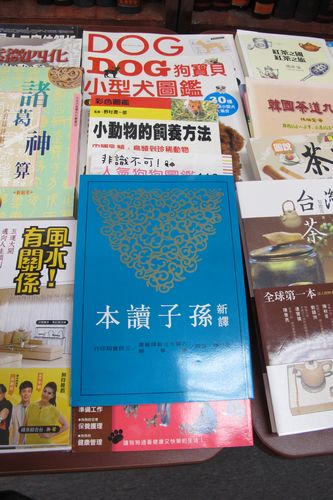 孙子兵法全球行:多伦多唐人街多元文化多姿多彩