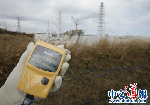 日本福岛核污染带给华人新困惑买菜首先注意产地
