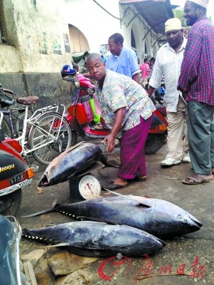 ����̹ɣ�����Խ��:�����㼣�޴����ڱ鼰����ҵ