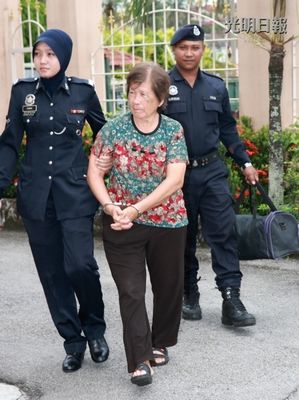 ������Ѯ�����Ϊ20���Ź�ɷ���������ͼ��