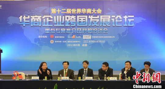 华商大会“华商企业跨国发展专案推介会”举行