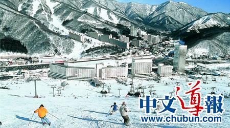 冬季到日本新潟去滑雪