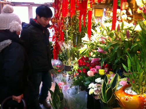 元宵节牵手情人节纽约法拉盛鲜花、灯笼热卖(图)