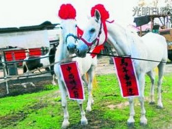 �������˽�ײ�մ�������Ϊ���۰����ٰ��Ц����