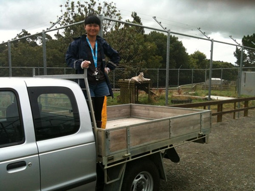 ��������������԰�����붯����ܽӴ�����԰