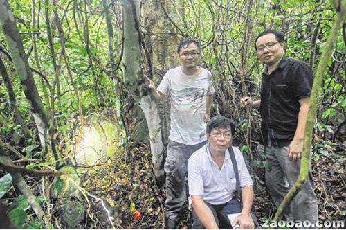 新加坡发现凤山寺最早创建人迁葬墓建于道光年间
