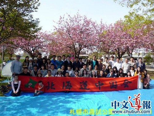 日本北海道中国会举办赏樱会暨留学生支援会(图)