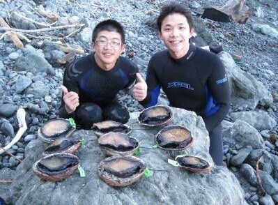 ���ݻ����̱�������������ǰ�������ߴ磨ͼ��