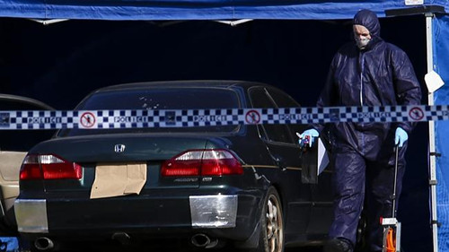 Ϥ�ᾯ����һ������β���ڸ�ʬ�ǻ���Ѱ�ҿ�����