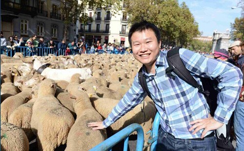 西班牙马德里华人与羊共舞与当地人共迎游牧节