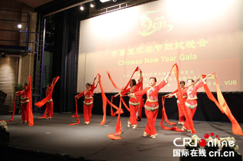 比利时布鲁塞尔中国学联举行2015春节晚会(图)