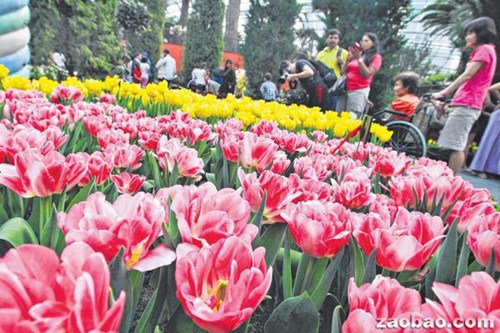 �¼��»����幤���ֺ���������ƾ����ѵ�