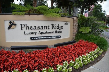 美华人月子中心日渐萧条孕妇成群出入现象不再