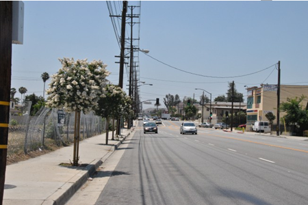 ��ʥ����ŵ�����������԰�Ƶ������������ֽ�