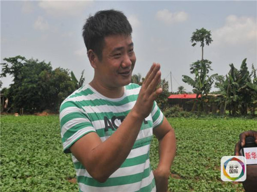 中国农民在尼日利亚开菜园生意好欲扩大生产规模