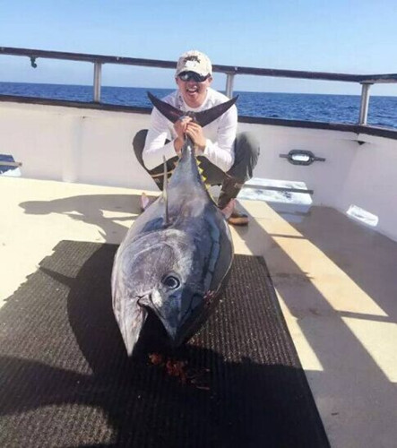 ��������ĩ�����ջ��ʢ�ϰٽ����׷��Ϲ�