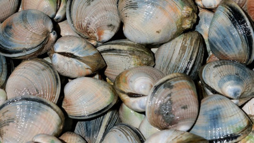 ������4���˳�����������з��Ƿ���������ֻ