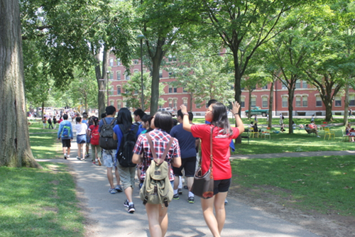 ȥ��17.3���й��οͷò�ʿ�ٽ��������ڽ���