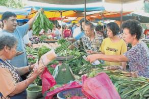 大马华人过年讲究好兆头菜农增种“年菜”应市