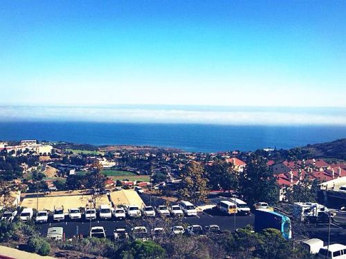 ������ѧ����ѧæ����У����ʾǧ��һ��������