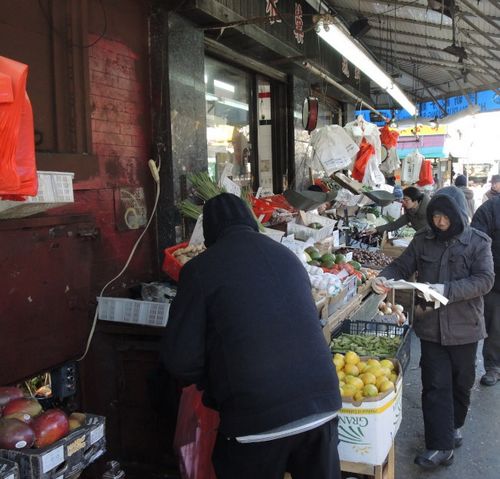 ����Ϯ��ŦԼ������ͷС�����������°�̯