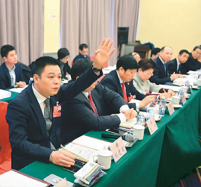 两会瞬间:海外侨胞积极建言(图)