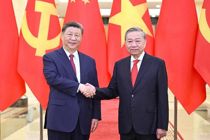 习近平同越共中央总书记苏林举行会谈