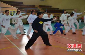 中国著名太极拳大师言传身教以色列弟子