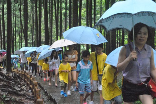 2013寻根之旅乐清分营:雨中饱览雁荡秀色