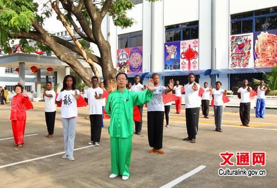尼日利亚中国文化中心上演“武术太极之夜”