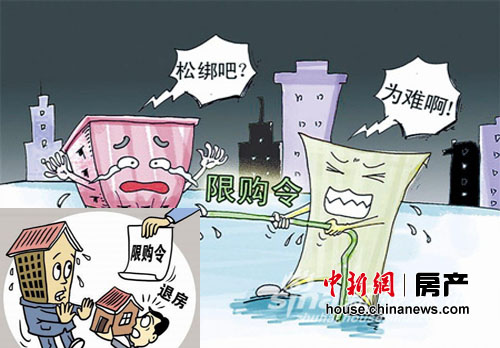 2011¥�����롰�ޡ�ʱ�������벩����ǰ�У�8��