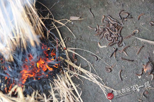 点图查看下一页