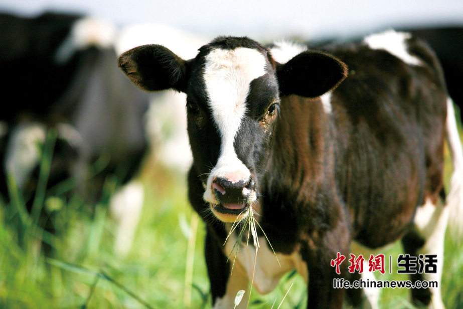 �������ݹ��������ʩ�ٽ���ҵ�淶��(3)