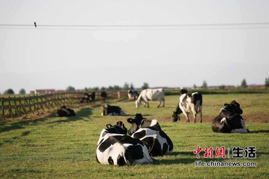 �������ݹ��������ʩ�ٽ���ҵ�淶��(8)