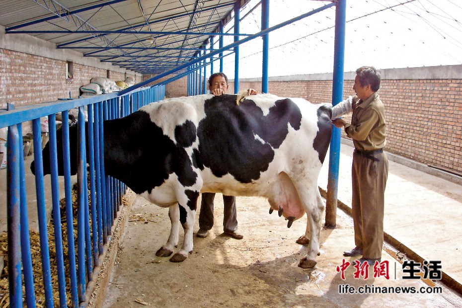 �������ı�һ�塱�ۺϹ�����ϵ������Ʒ������ȫ