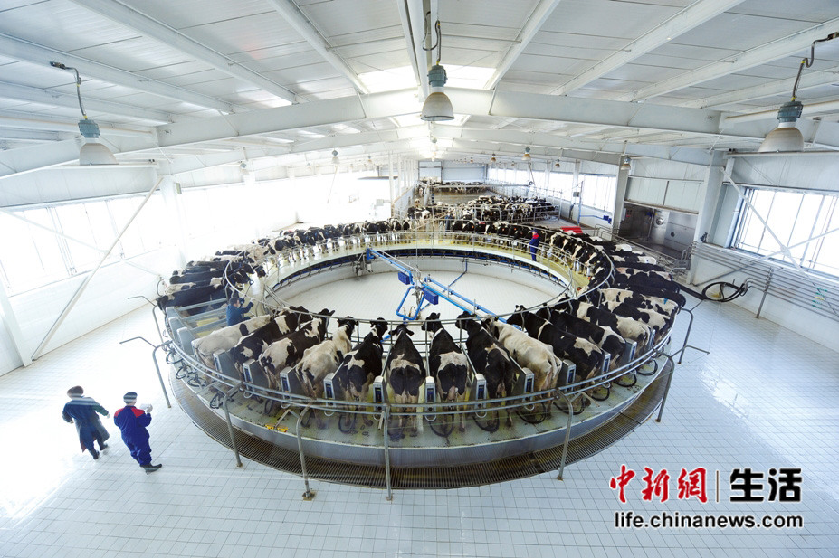 �������ݹ�����������950��