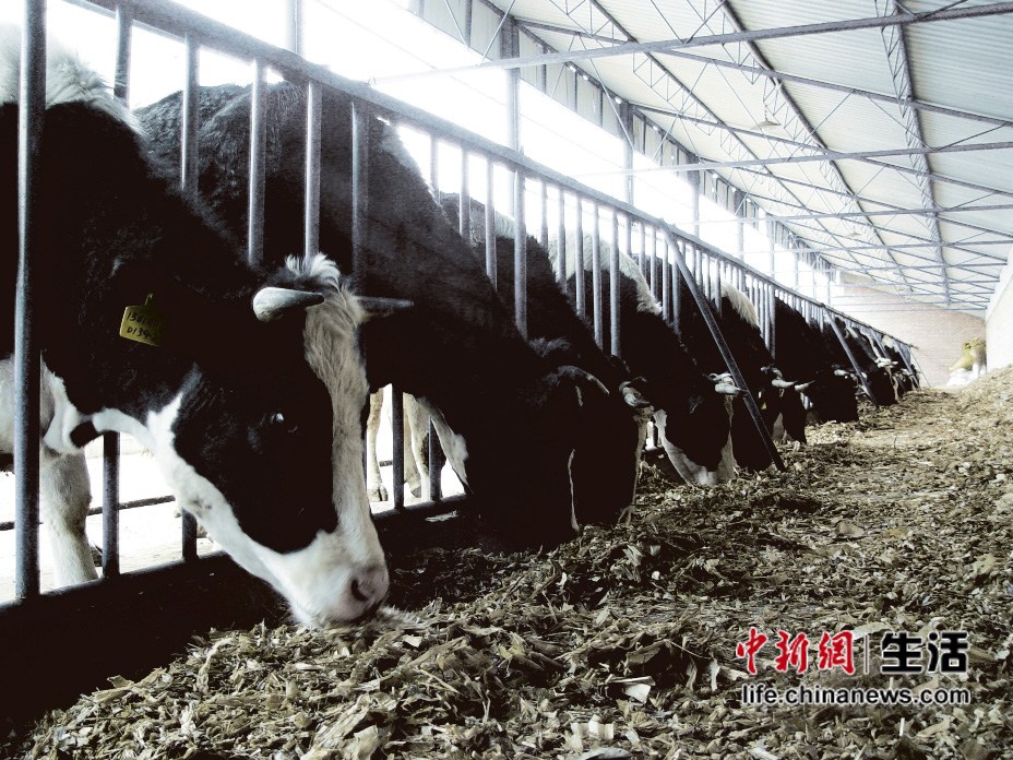 �������ݹ�����������950��(2)