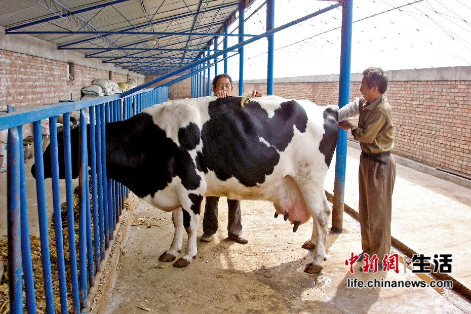 �������ݹ����ſ�(2)