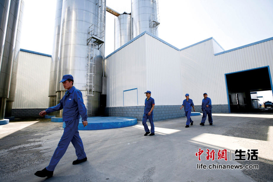 �������ݹ����ſ�(10)