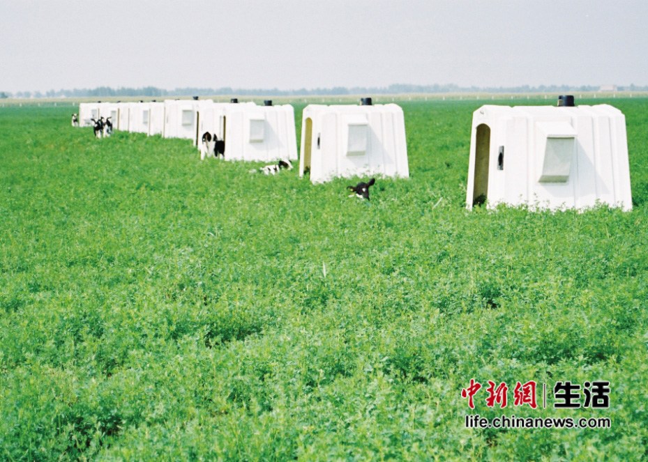 �����ӱ���������(2)