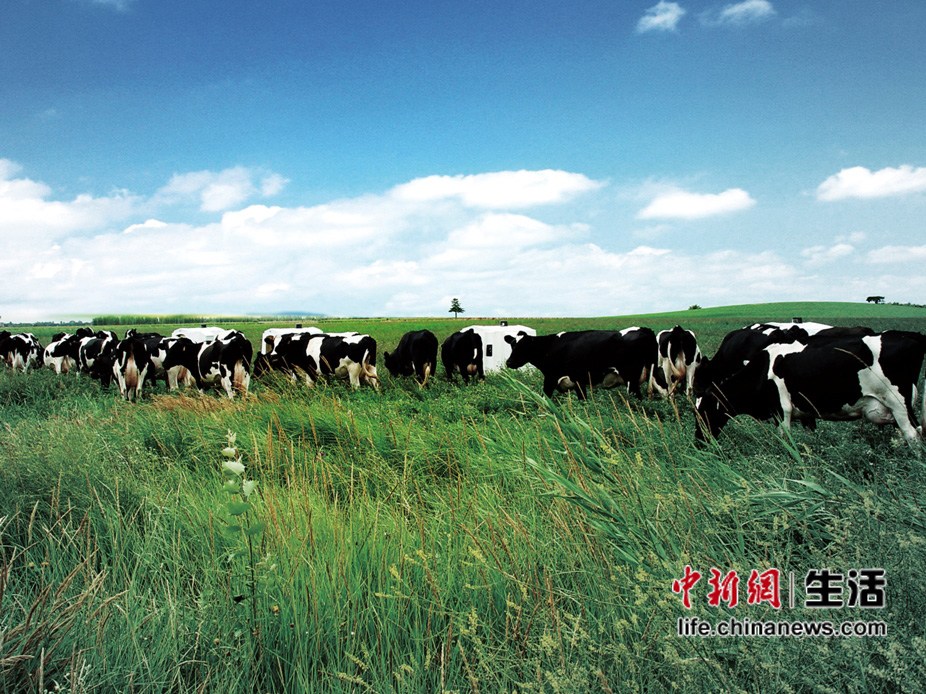 �����ӱ���������(3)