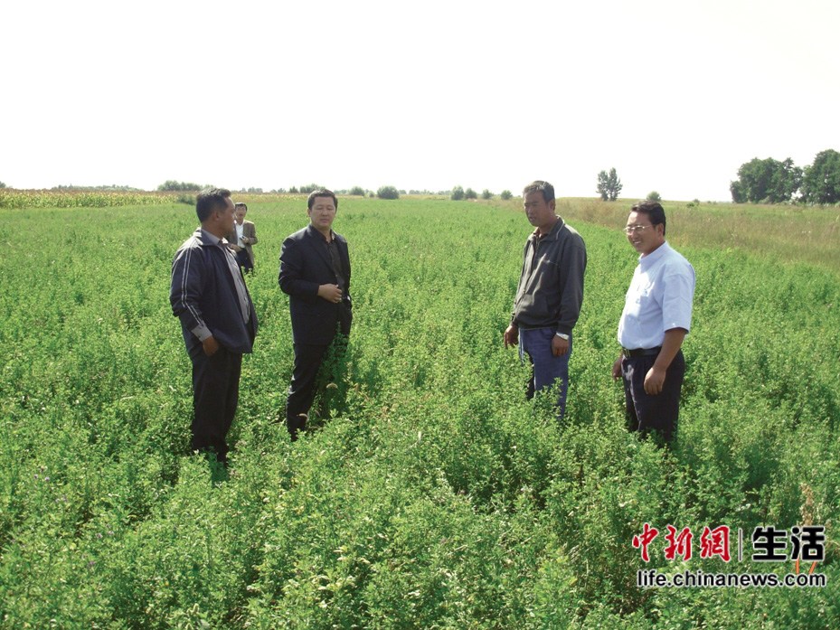 �����ӱ���������(5)