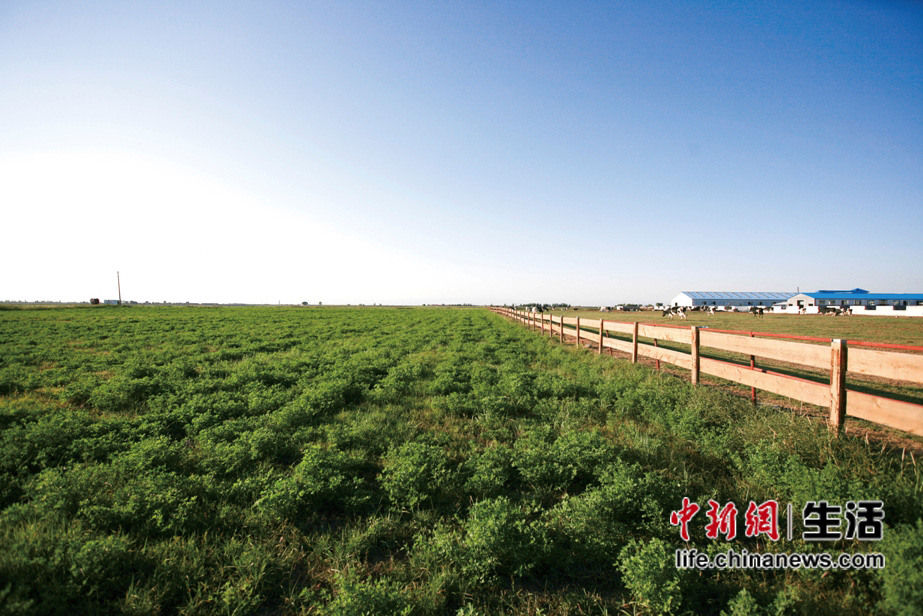 �����ӱ���������(6)