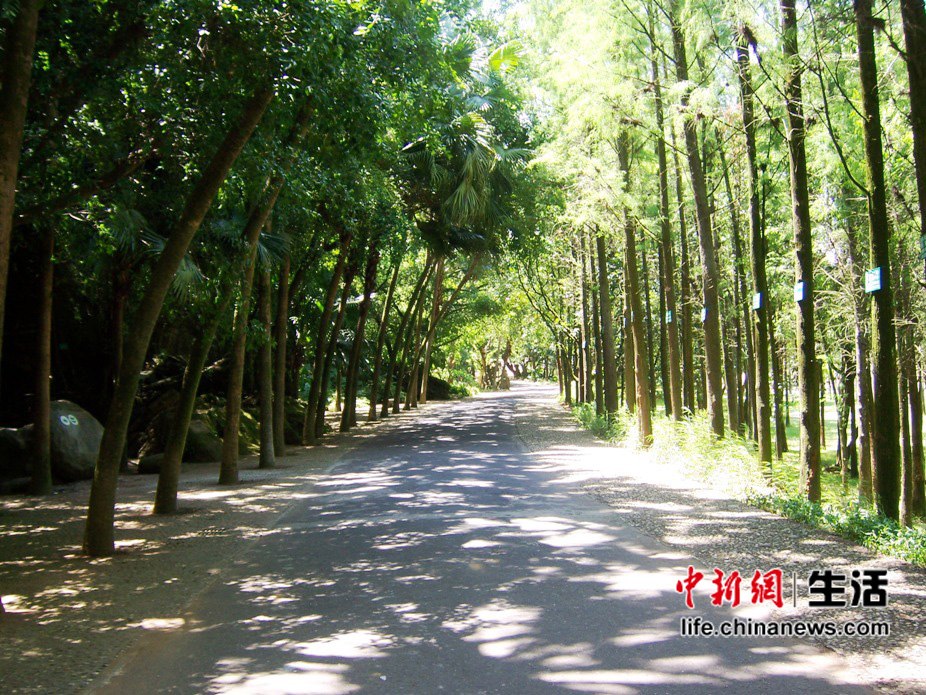 տ�������õ�տ��֮��(3)