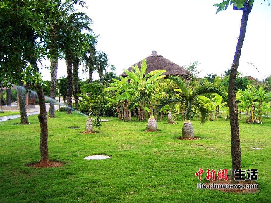 տ�������õ�տ��֮��(7)