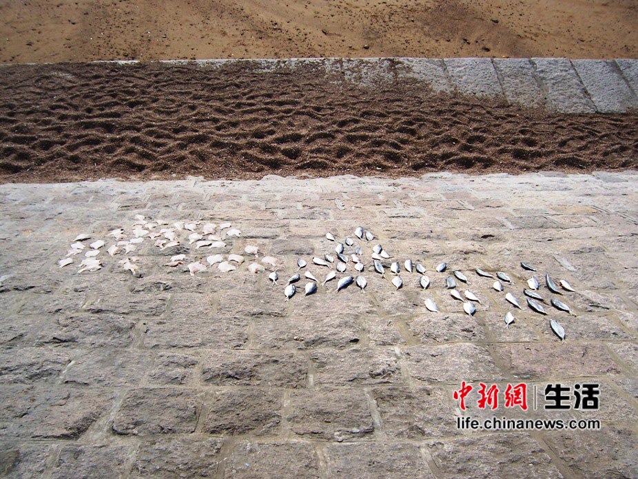 �����ൺ����Ӱ֮��(4)