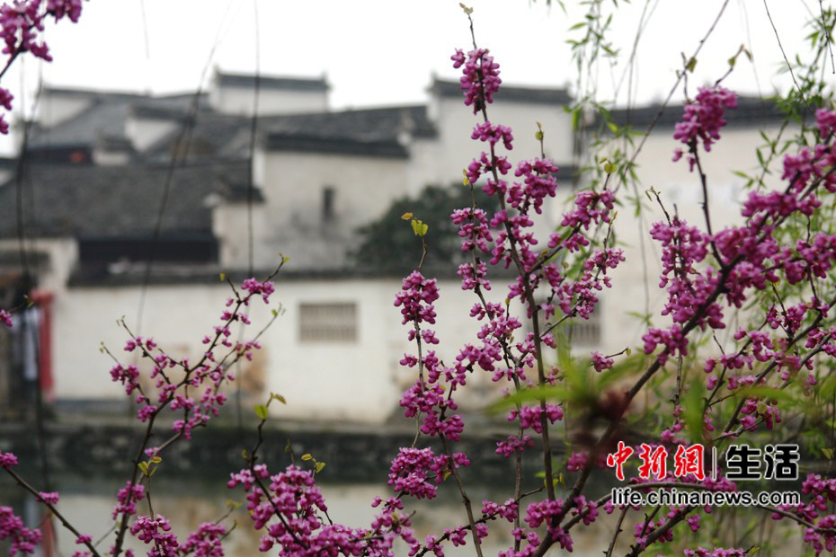 ���Ļ�ɽ����Ϫ�Ͻ֡����غ��(5)