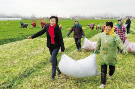 ���鲩ʿ�������齨�й��׼���������ֲ�з�����