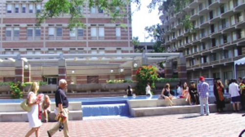 赴美中国留学生数量猛增留学中介吁重视安全健康