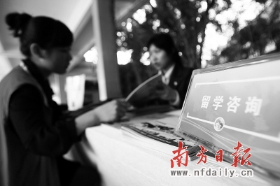 广东获留学中介资质审批权留学中介费有望降低